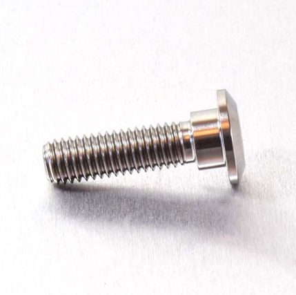 Jarrulevyn Pultti Kawasaki M8 x 24/30 mm (1 kpl), Takalevy, Teräs - Pro-Bolt