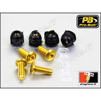 Katteenlasinpulttisarja (9 kpl), Aprilia, Ducati Alumiinia - Pro-Bolt