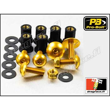 Katteenlasinpulttisarja (6 kpl), Suzuki TL 1000 S 1997-2003 Alumiinia - Pro-Bolt
